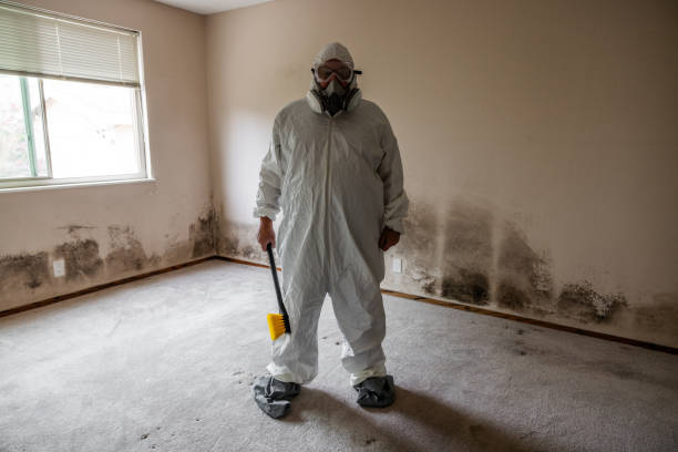 Syracuse, KS Mold Inspection, Removal & Remediation Company